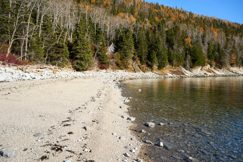 Eau,Plage,Petit-Gaspé,Milieu naturel,Forêt,Parc Forillon,Saison,Automne,Parc provincial,Jour,Temps
